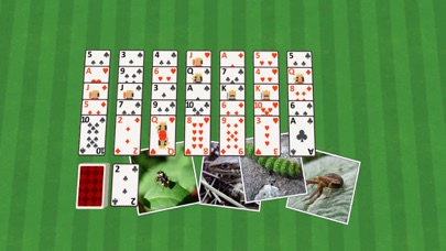 Golf Solitaire Crittersのおすすめ画像1