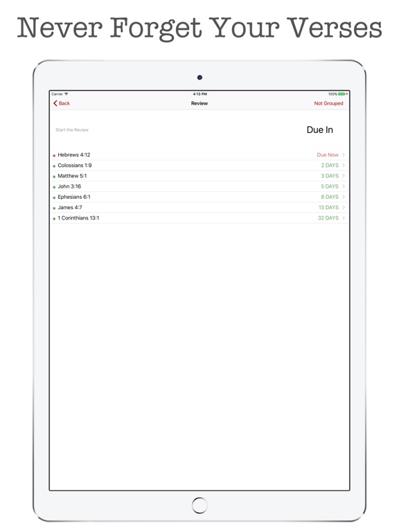 iPad Screenshot 3