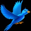 BirdBirdFly Games
