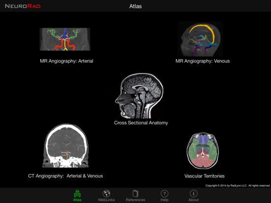 iPad Screenshot 1