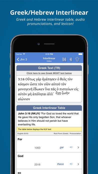 blue letter bible app review