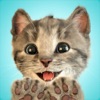 내가 가장 좋아하는, 귀여운 새끼고양이 앱 아이콘 이미지
