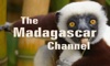 The Madagascar Channel madagascar 