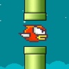 Smashy bird . racing road smashy