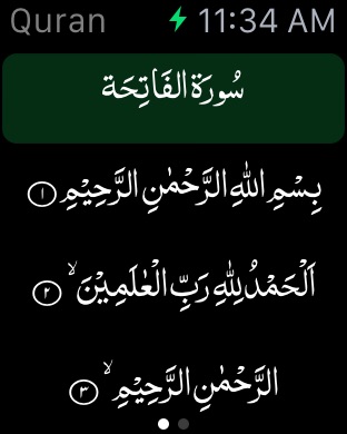 iPhone Screenshot 3