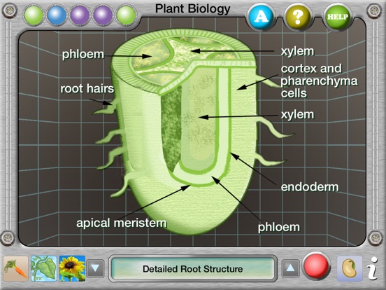 Interactive Plant Biology Explorerのおすすめ画像2