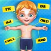 My Body Parts - Kids Human Body Parts Learning plumbing parts 