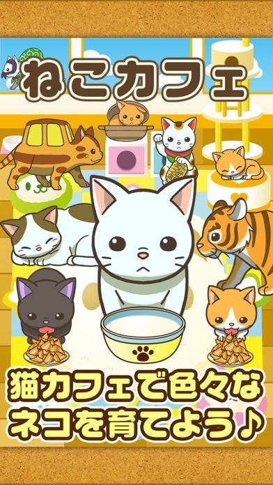 ねこカフェ~猫を育てる楽しい育成ゲーム~のスクリーンショット1 ねこカフェ~猫を育てる楽しい育成ゲーム~のスクリーンショット1