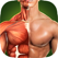 Human Anatomy 3D - 보디빌딩 운동