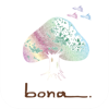 Seyfert LTD. - bona/TYLCO/Arco artwork