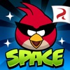 Angry Birds Space 앱 아이콘 이미지