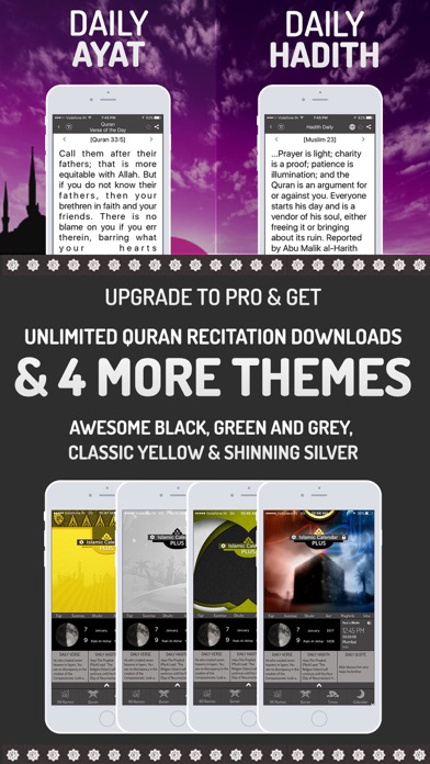 iPhone Screenshot 5