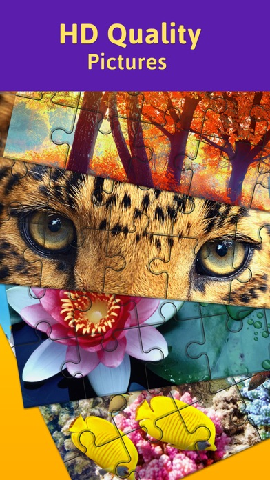 Jigsaw Puzzle Nature Edition 1.3