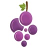 Grapevines small business opportunities ideas 