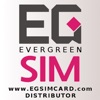 EG SIM CARD (EGSIMCARD)