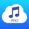 Arthur Rozzenberg - Musicloud Pro - クラウド用MP3とFLAC音楽プレーヤー アートワーク