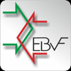 Ente Bilaterale Veneto - Servizi EBVF artwork