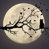 Relaxing Visions Of Sounds A Sleep