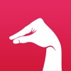 JeFile