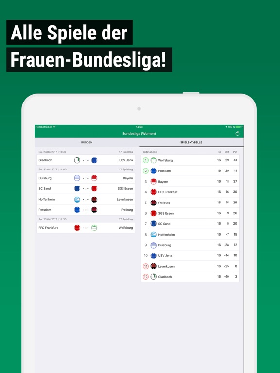 iPad Screenshot 1
