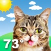 Weather BUB