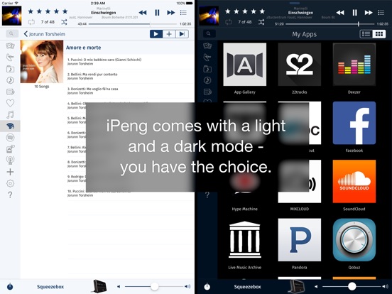 iPad Screenshot 2