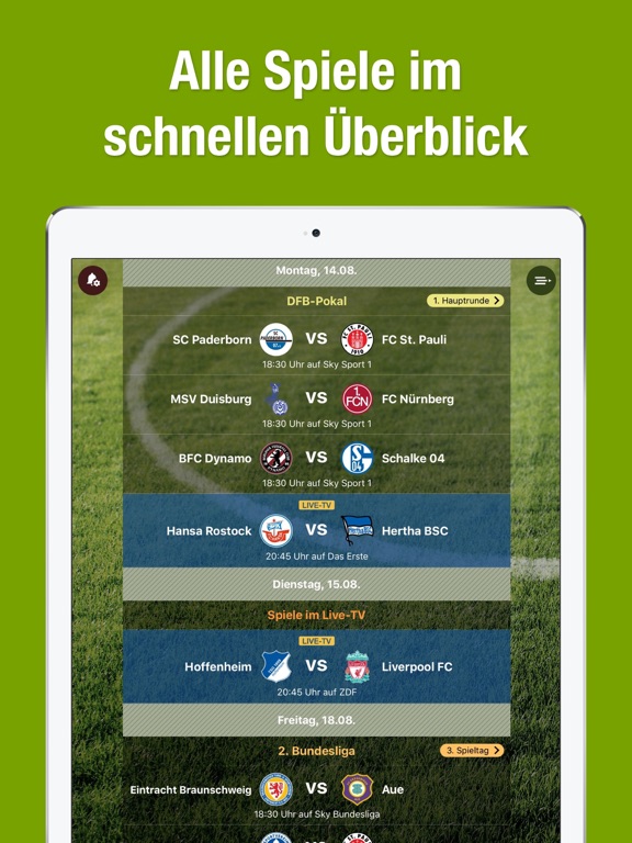 iPad Screenshot 1