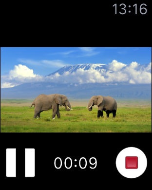 iPhone Screenshot 2