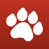 Tag A Cat - The Cat Pictures Sharing App