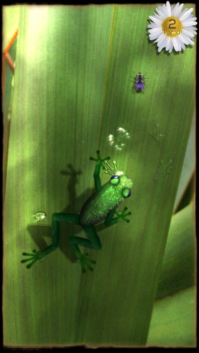 iPhone Screenshot 4