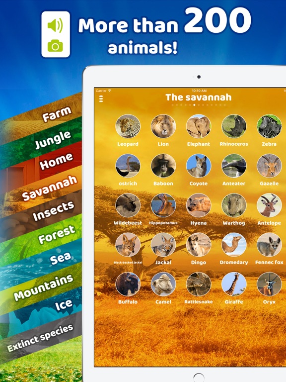 iPad Screenshot 1