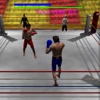 Boxing Revolution 2017 3D Punch Boxing boxing games 