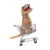 Shopping Cart Crash shopping cart trick 2015 