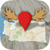 no app image