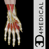 3D4Medical.com, LLC - Hand & Wrist Pro III アートワーク
