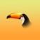 Toucan 6: calendar + todo tasks + notes