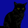 no app image