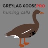REAL Greylag Goose Hunting Calls - Greylag Goose CALLS & Greylag Goose Sounds! (ad free) BLUETOOTH COMPATIBLE canada goose 