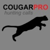REAL Cougar Hunting Calls - 9 REAL Cougar CALLS and Cougar Sounds! 2017 mercury cougar 