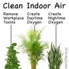 Houseplants for Air Purifying:Guide and Tips air travel tips 