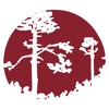 RCB Personal Banking for iPad history transfer funds