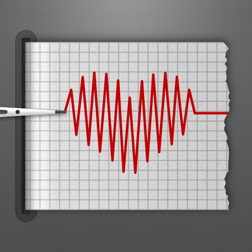 magnetic cardiograph