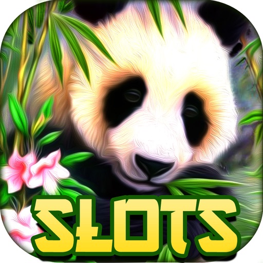 Free panda slots no download