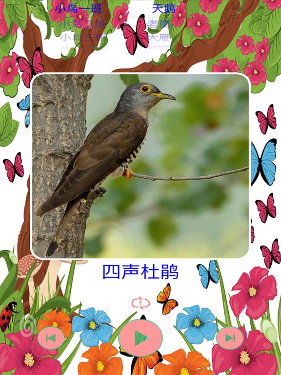 鸟的叫声大全之汉字拼音版:在 App Store 上的