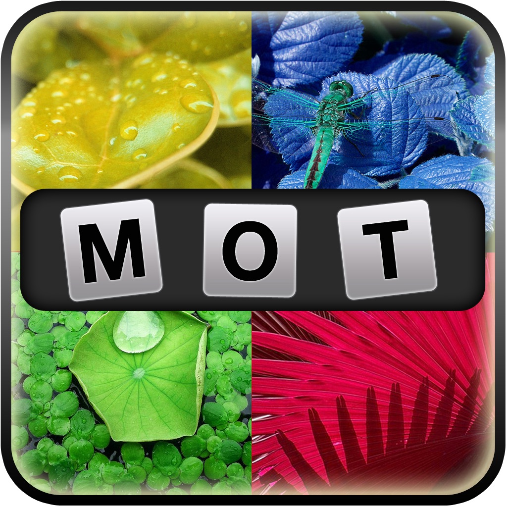 4 images et 1 mot 4 images et 1 mot