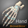 BoneBox™ - Hand