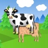 app_icon