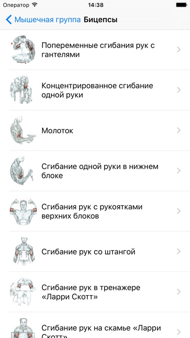 Снимок экрана iPhone 4