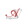 ANDRE VINCENT EXPERTS