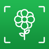 no app image